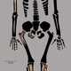 The partial skeleton of a juvenile Homo naledi.